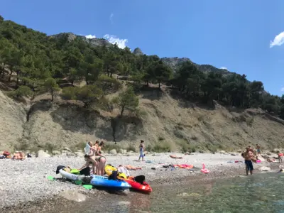 Пляжи в Крыму для отдыха с собаками